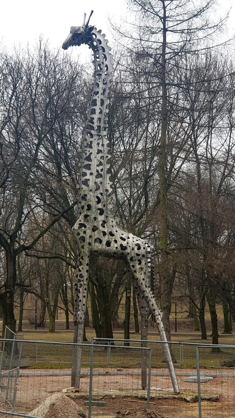 Żyrafa w Parku Praskim